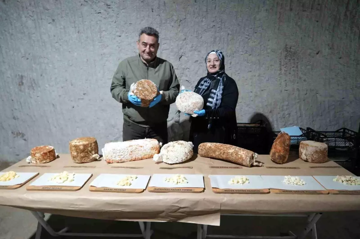 Niğde’nin Doğal Peynirleri Yurt Dışına Açılıyor